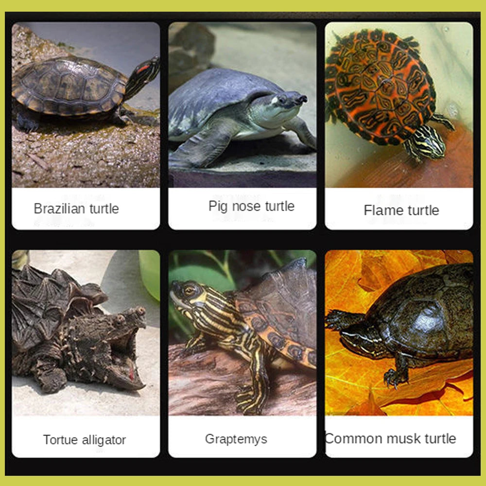 100g High Protein Fish Tank Turtle Feed Water Turtles Brazilian Tortoise Pet Food Calcium Vitamin C Supplement Improve Immunity