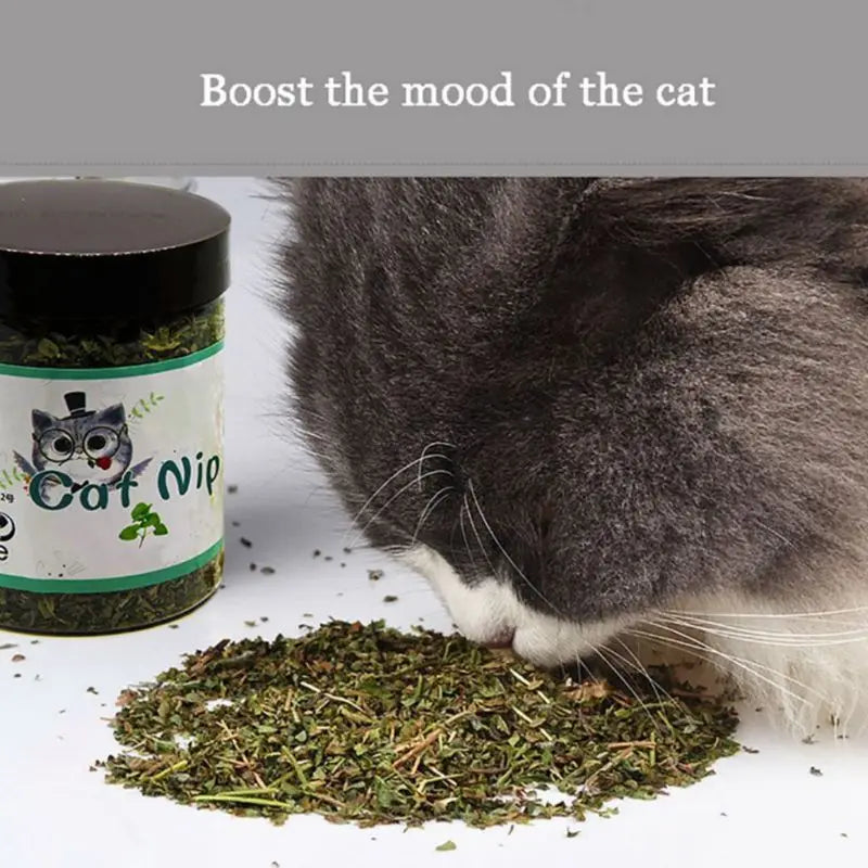 Premium Natural Catnip Selected for Fresh Catnip Leaves Natural for Cat Mint Treats 10g/20g/30g for Pet for Cat Kitten D