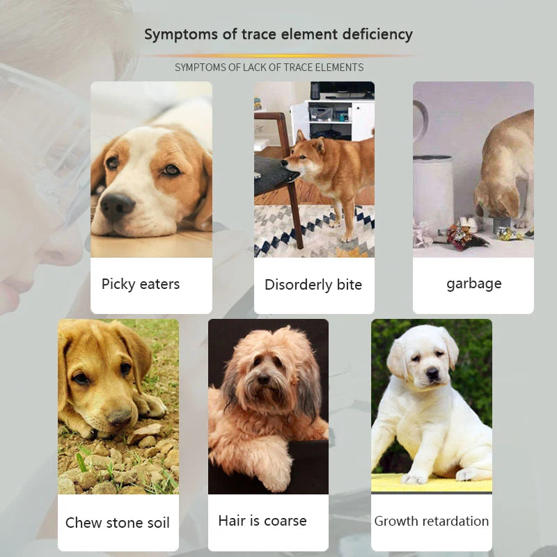 Dog Trace Elements 400 Tablets Pet Golden Retriever Teddy Adult Dog Puppy Exotic Vitamin Eating Shit, Dirt Wall, Herb
