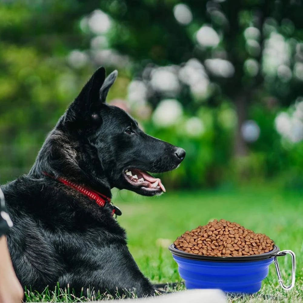 Foldable Dog Pet Bowl Eco Firendly Silicone Cat Dog Food Water Feeder Travel Portable Feeding Bowls Puppy Doggy Food Container