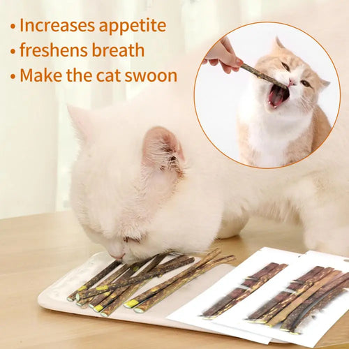 5/25/50PCS Natural Matatabi Cat Stick Mint Caught Bite Excited Rods Silvervine For Cat Teeth Cleaning Treating Pet Cat Products