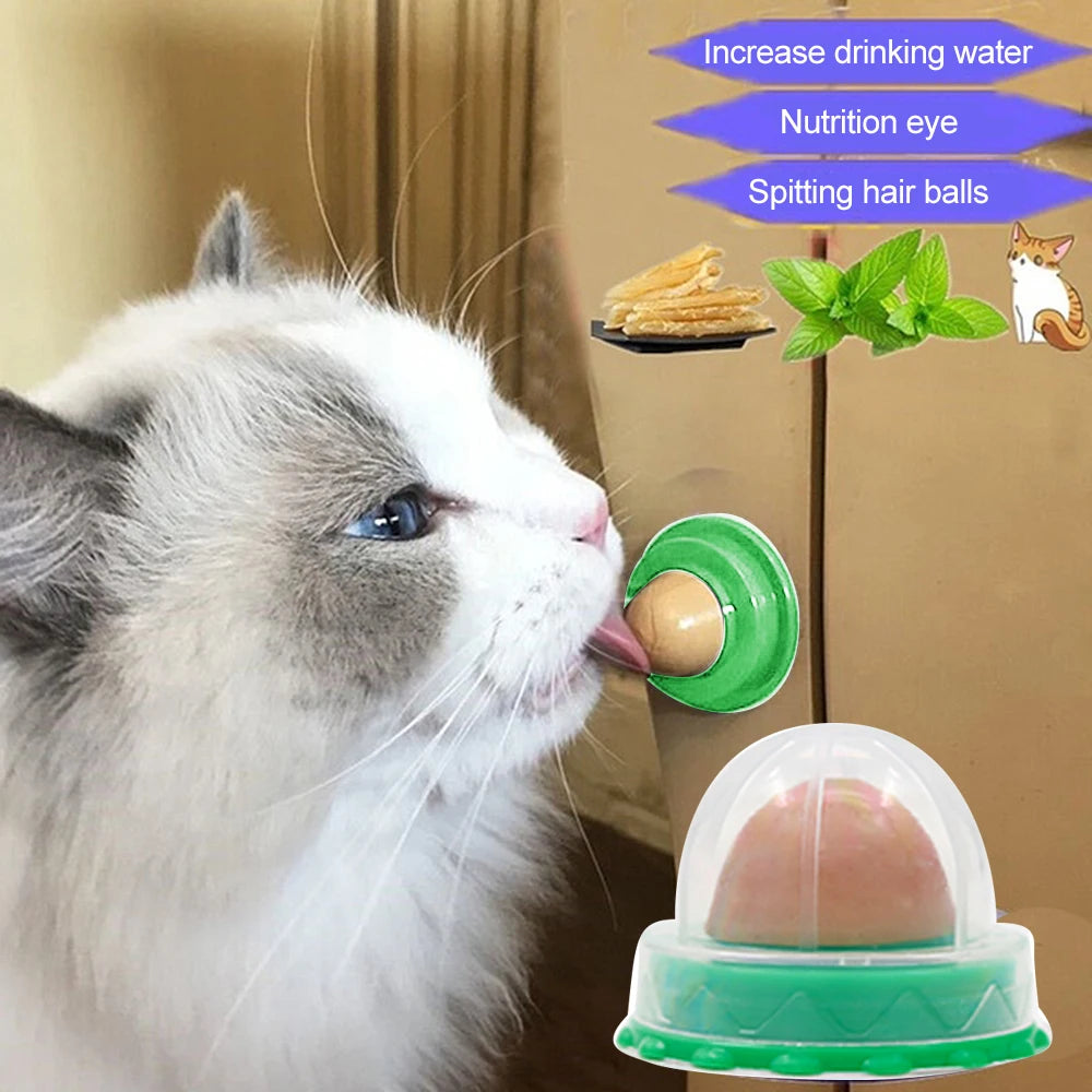 Cats Natural Catnip Ball Healthy Nutrition Pet Snacks Energy Ball Safe Lick Candy Vitamin Pudding Catnip Lollipop Toys For Cats