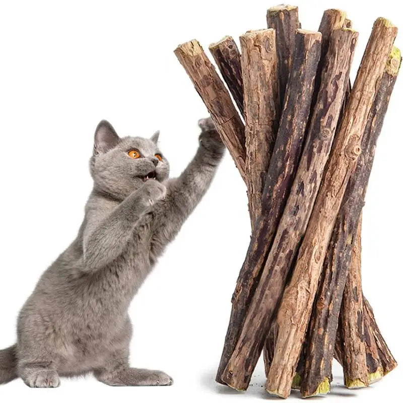 5/25/50PCS Natural Matatabi Cat Stick Mint Caught Bite Excited Rods Silvervine For Cat Teeth Cleaning Treating Pet Cat Products