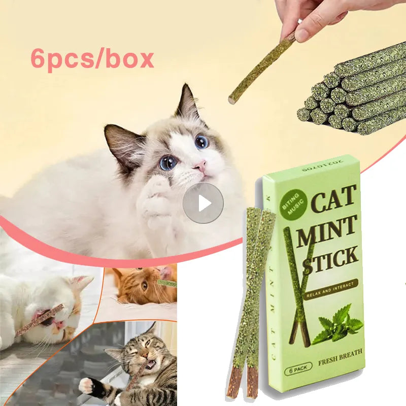 Healthy Cat Catnip Toys Cat Mint Stick Natural Silvervine Catnip Toys Kittens Teeth Cleaning Safe Cat Stick Treat Pet Product