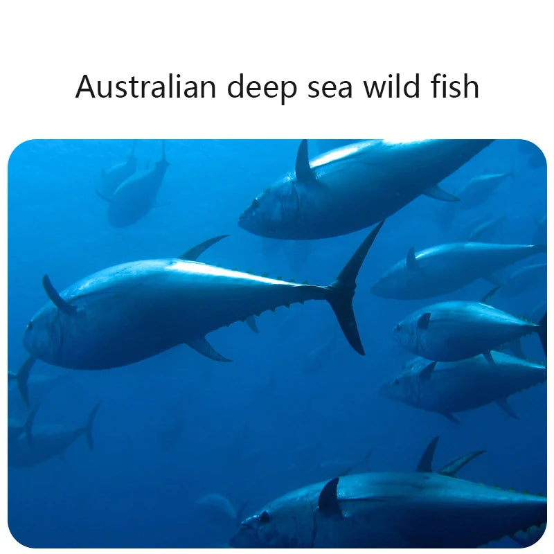 Pet Deep-sea Fish Oil Softgel Capsule 60 Dogs and Cats Universal Salmon Oil Supplement Nutritional Health Supplement Vitamins