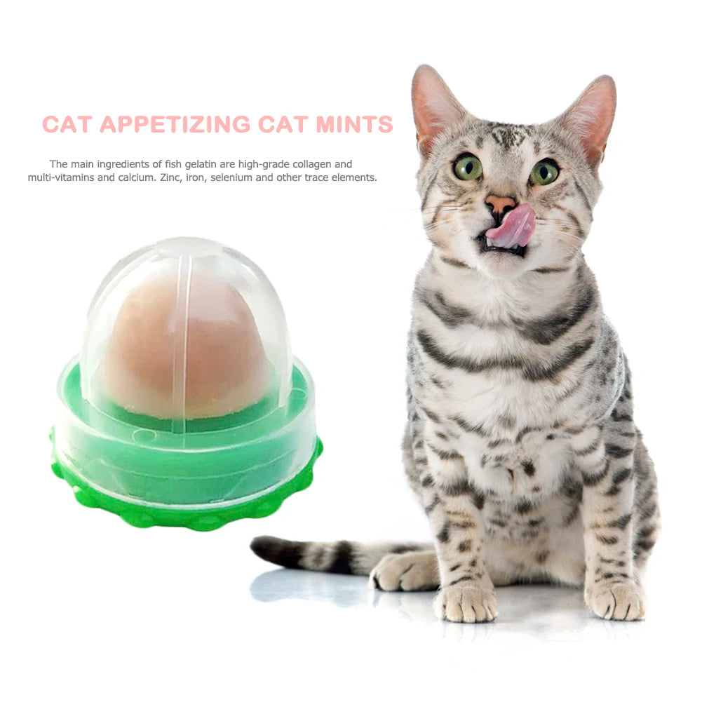 1-50pcs Healthy Cat Snacks Nutrition Cat Catnip Ball Safe Catnip Snack Lick Candy Vitamin Pudding Lollipop for Cats Pet Snacks