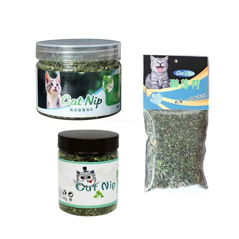 for Cat Mint for Cat Treats for Healthy Teeth Gums for FRESH Breath Natural Catnip for Pet for Cat Little Kitten Dental Dropship