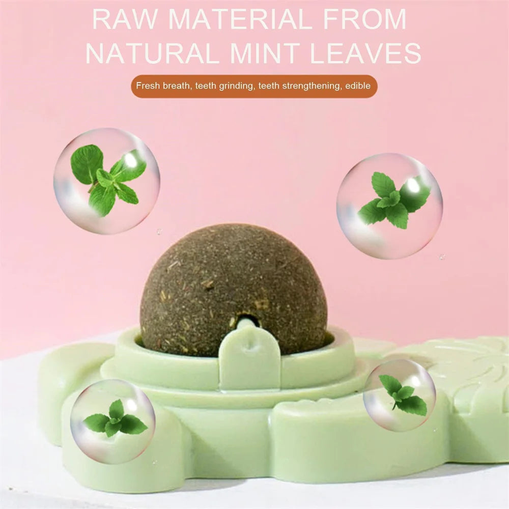 Healthy Cat Catnip Ball Dust Cover Round Safe Catnip Snack Lick Candy Vitamin Pudding Catnip Lollipop For Cat Pet Snacks