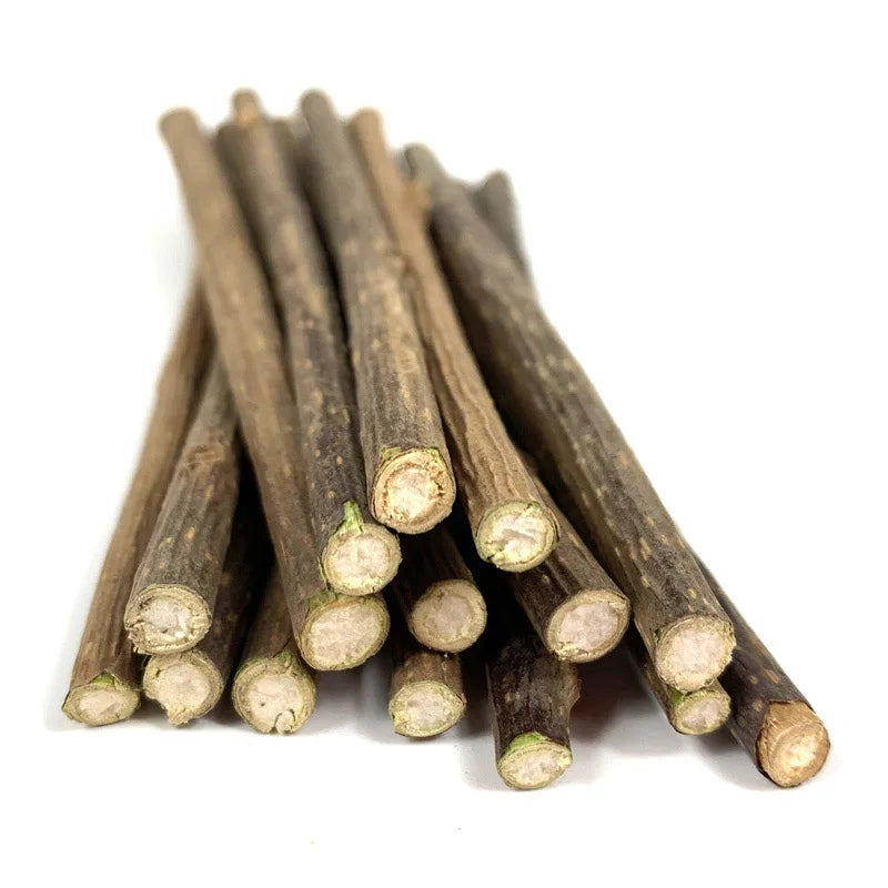 5/10pcs Natural Pet Cat Molar Toothpaste Stick Cat Snacks Sticks Pet Cleaning Teeth For Cat Teeth Cleaning Treating Supplies