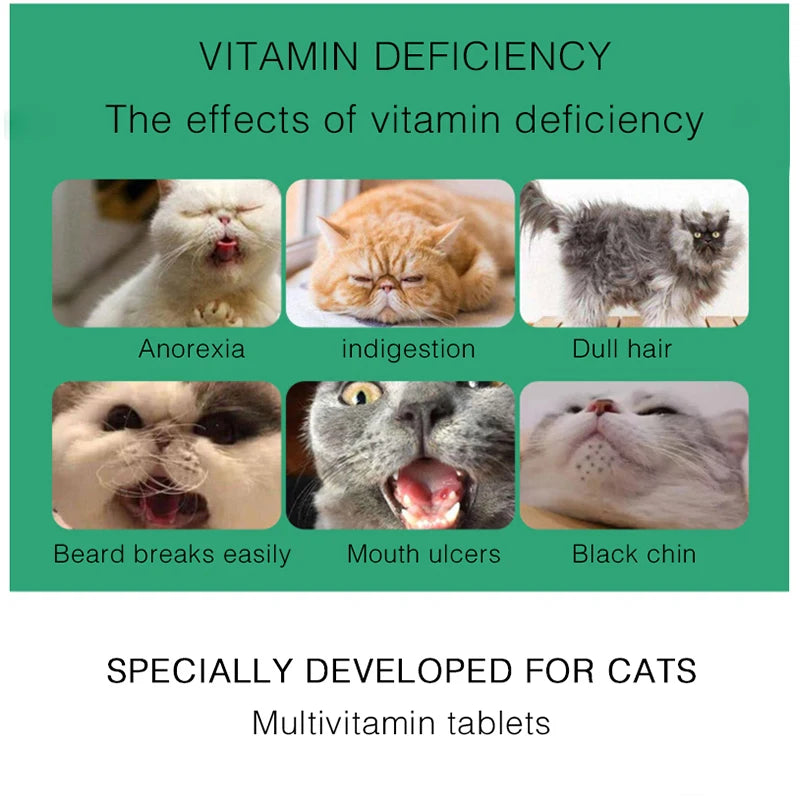 Pet Multivitamin Cat Tablets, Cats, Cat Food and Nutrition B Vitamins 200 Tablets