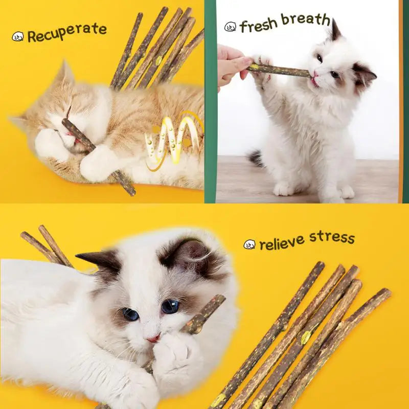 15/20pcs Natural Matatabi Cats Stick Mint Caught Bite Excited Rods Silvervine Toys For Cats Teeth Cleaning Treating Pet Cat Toy