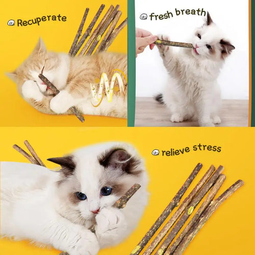 15/20pcs Natural Matatabi Cats Stick Mint Caught Bite Excited Rods Silvervine Toys For Cats Teeth Cleaning Treating Pet Cat Toy