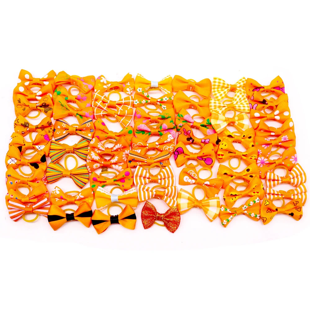 45083481866504|45083481899272|45083481964808