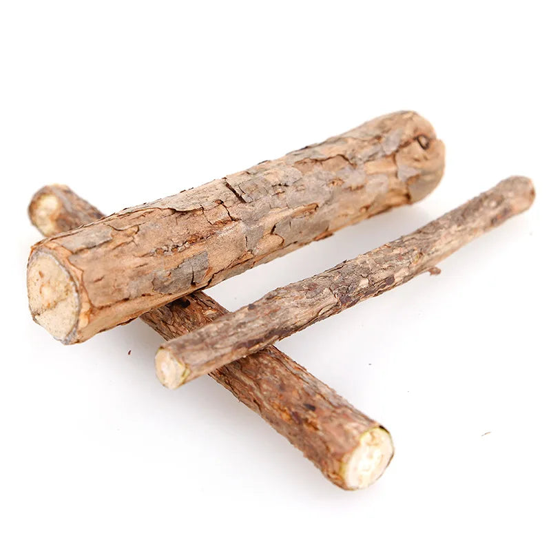Cat Teeth Molar Stick Wood Lily Cat Treats Natural Catnip Cat Toys Interactive Cat Treat Toy Pet Toys  for Cats Pet Products