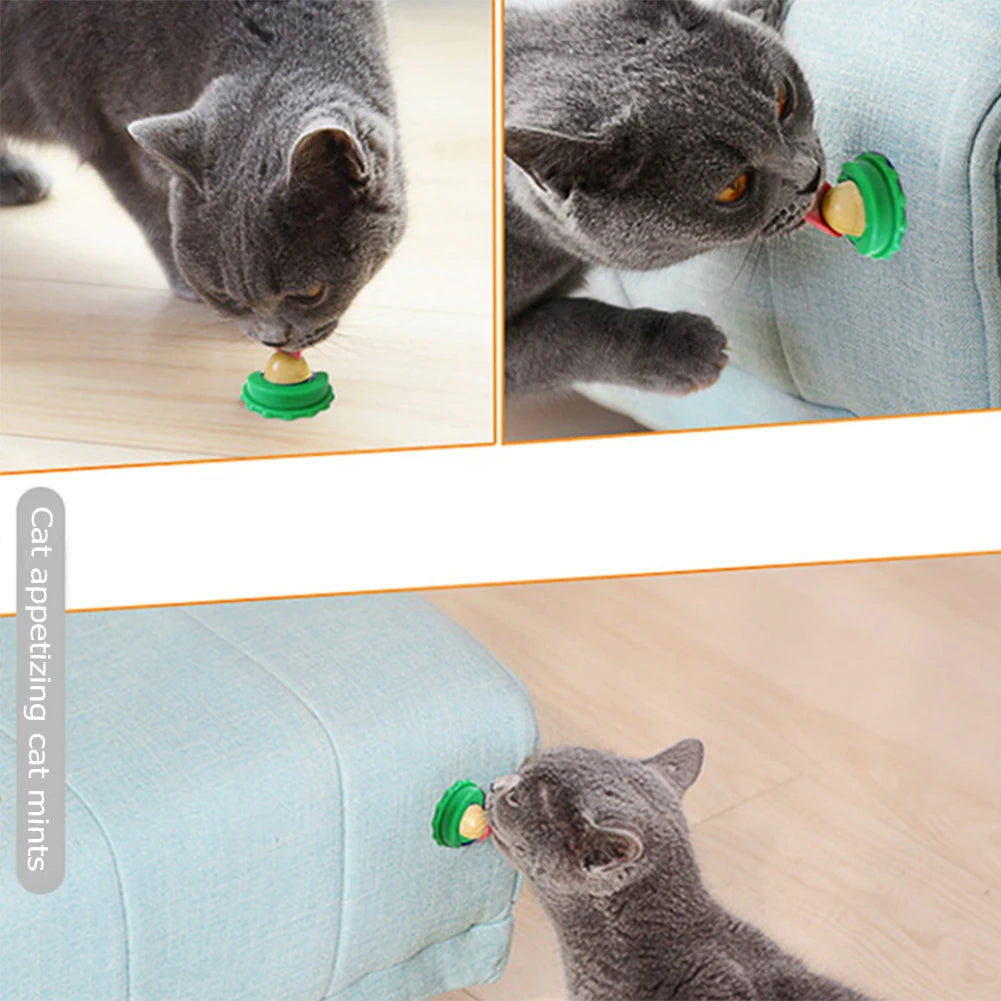 1-50pcs Healthy Cat Snacks Nutrition Cat Catnip Ball Safe Catnip Snack Lick Candy Vitamin Pudding Lollipop for Cats Pet Snacks