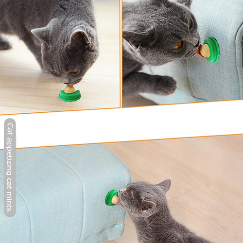 1-50pcs Healthy Cat Snacks Nutrition Cat Catnip Ball Safe Catnip Snack Lick Candy Vitamin Pudding Lollipop for Cats Pet Snacks