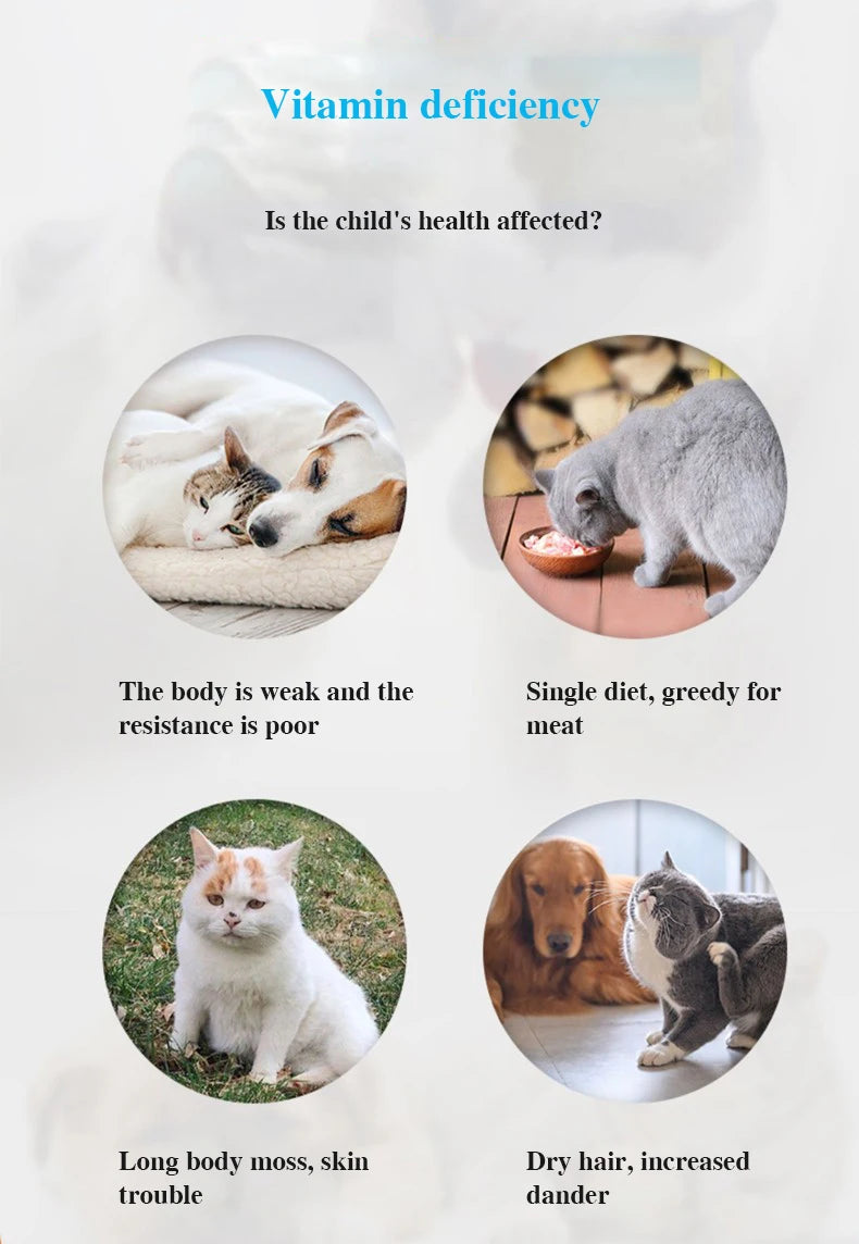 Cat Multivitamin Tablets 200 Cats Vitamin Shine Hair Pet Health Care Product Cat Nutrition