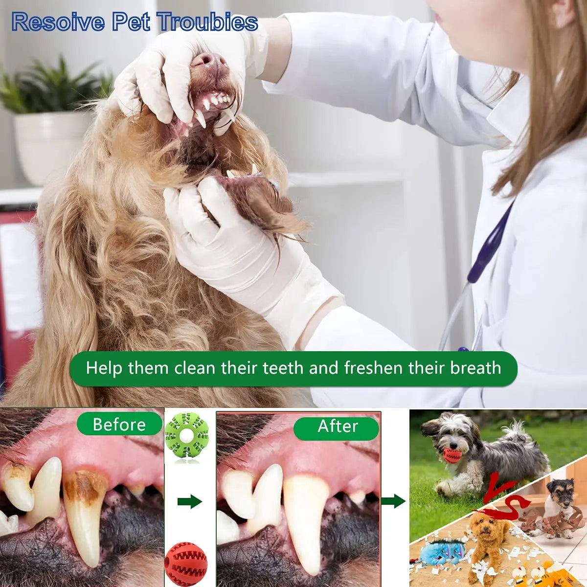 Natural Rubber Pet Dog Toys Dog Chew Toys Tooth Cleaning Treat Ball Extra-tough Interactive Elasticity Ball for Pet Products