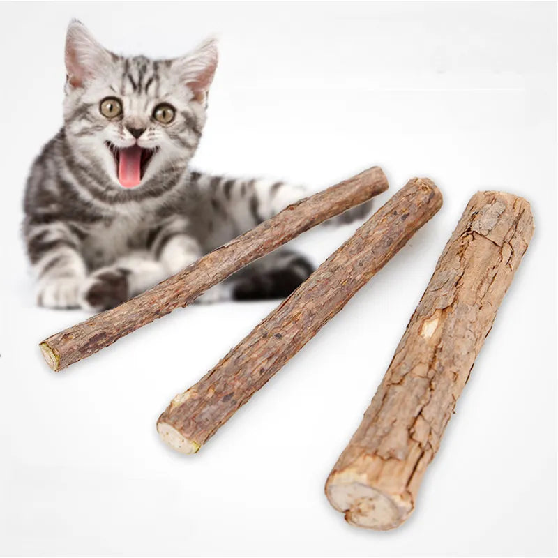 Cat Teeth Molar Stick Wood Lily Cat Treats Natural Catnip Cat Toys Interactive Cat Treat Toy Pet Toys  for Cats Pet Products