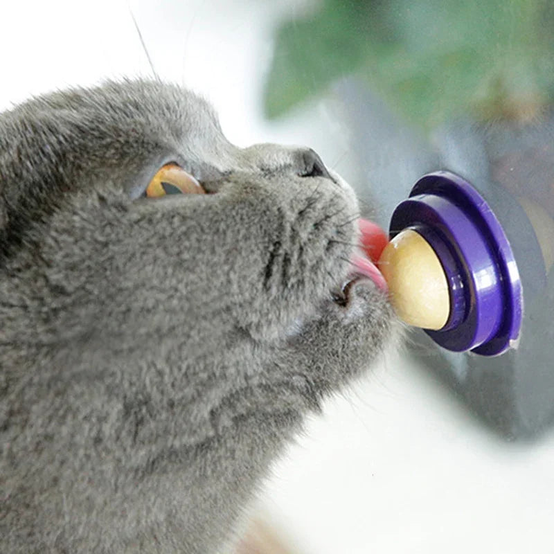 Cat Catnip Ball Dust Cover Round Safe Nutrition Catnip Snack Lick Candy Vitamin Pudding Catnip Lollipop for Cat Kitten Pet Toys