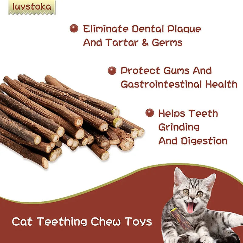 5/10pcs Natural Pet Cat Molar Toothpaste Stick Cat Snacks Sticks Pet Cleaning Teeth For Cat Teeth Cleaning Treating Supplies