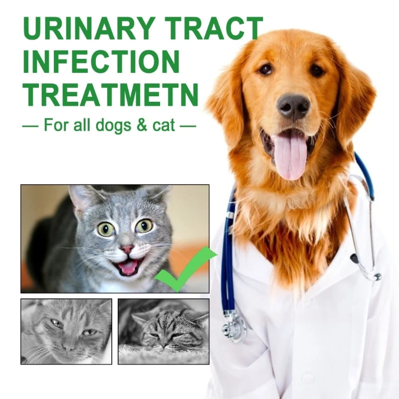 YYSD Cranberry Oil with Omegas Vitamin for Dogs Urinary Tract Support Bladder Support