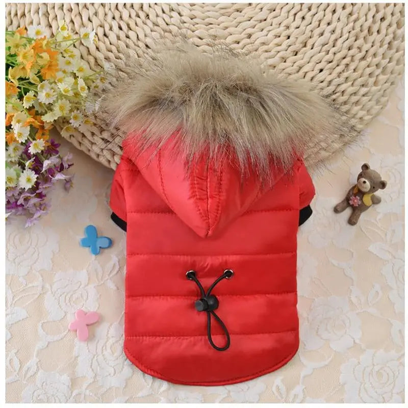 Dog Winter Jackets For Small Medium Dogs Coat for Winter Pet Clothes for Puppy French Bulldog Chihuahua Cat Rabbit