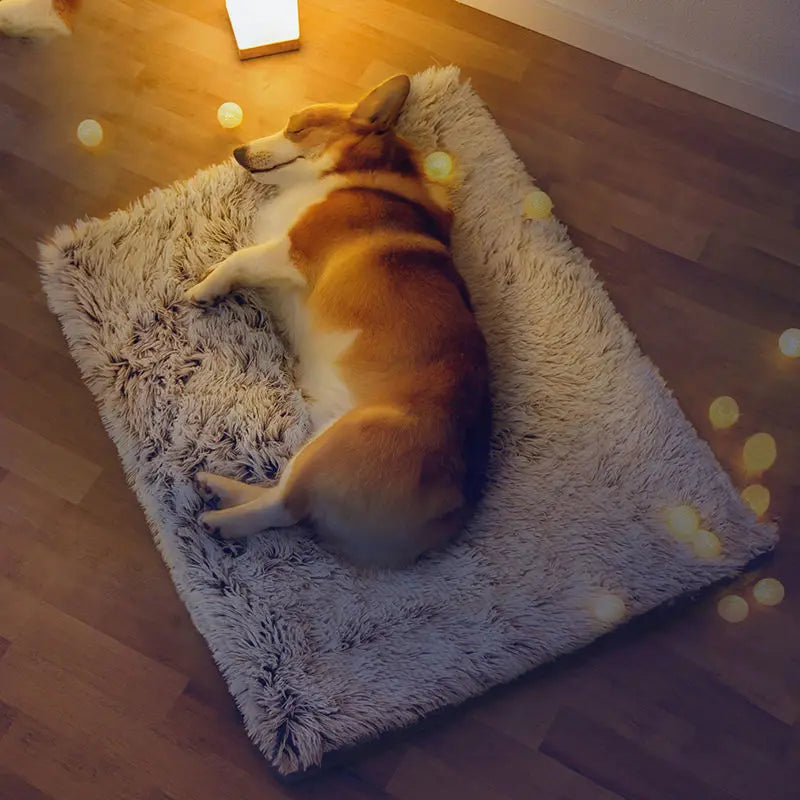 Plush Dog Bed Mat Cat Beds for Small Medium Large Dogs Removable for Cleaning Puppy Cushion Super Soft Claming Dog Beds Pet Bed