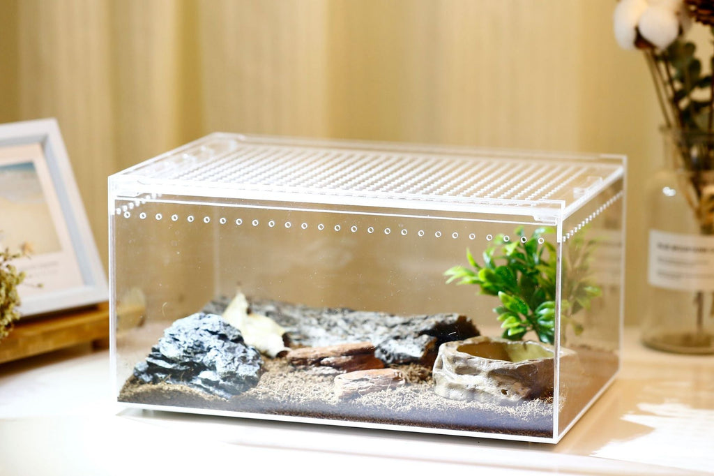 Integrated leak-proking water climbing box acrylic snake to the palace frog feeding box reptile breeding box factory direct