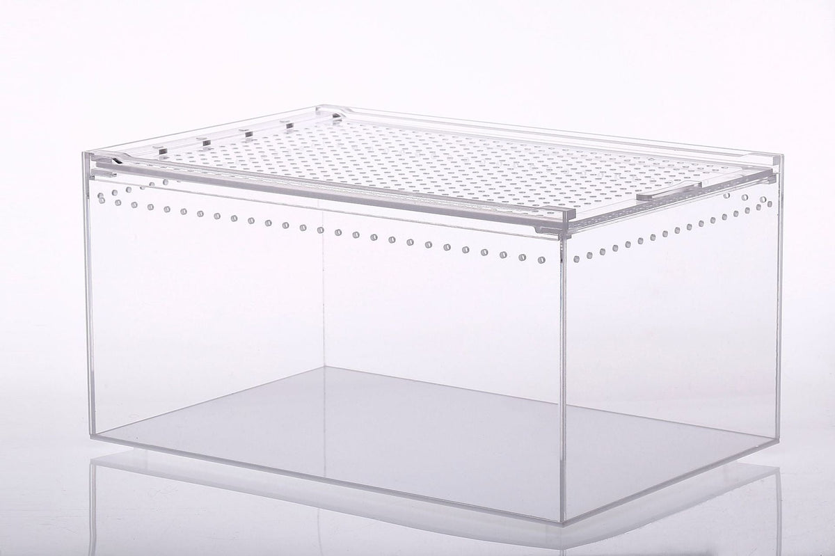 Integrated leak-proking water climbing box acrylic snake to the palace frog feeding box reptile breeding box factory direct