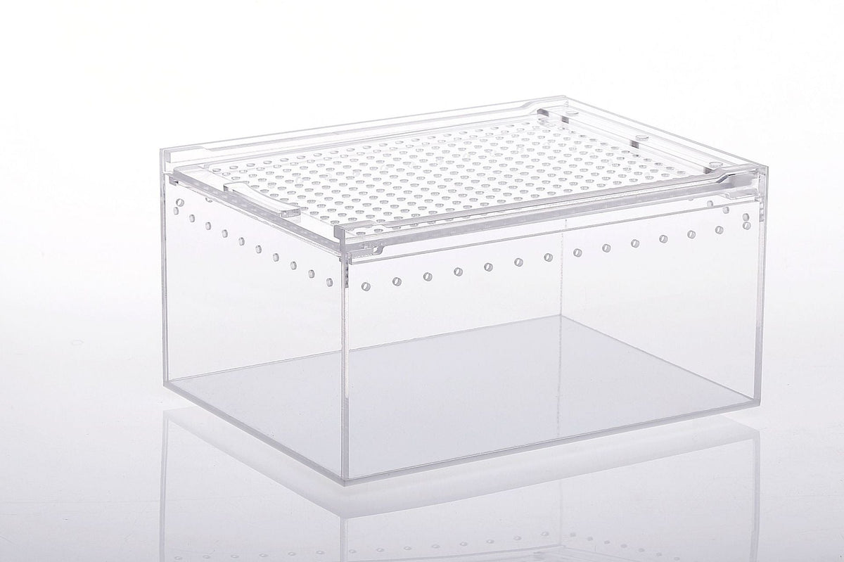 Integrated leak-proking water climbing box acrylic snake to the palace frog feeding box reptile breeding box factory direct