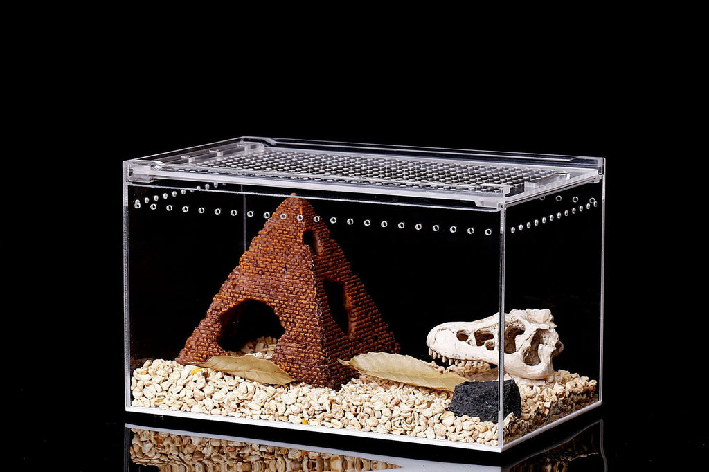 Integrated leak-proking water climbing box acrylic snake to the palace frog feeding box reptile breeding box factory direct
