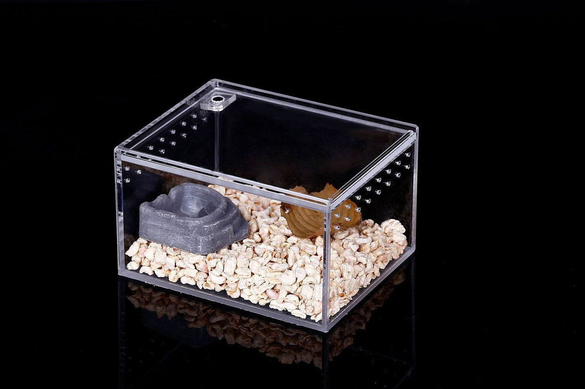Integrated leak-proking water climbing box acrylic snake to the palace frog feeding box reptile breeding box factory direct