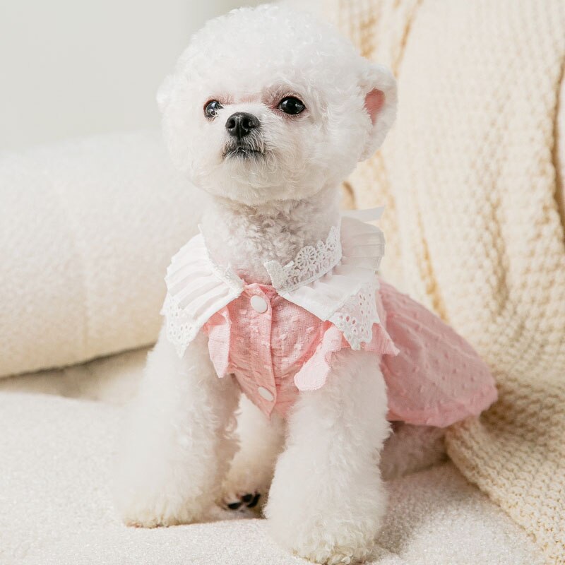 Pet Dog Skirt Spring Summer Thin Puppy Dress Pet Fruit Clothes Bichon Cherry Clothes Soft Dog Clothes XS-XL